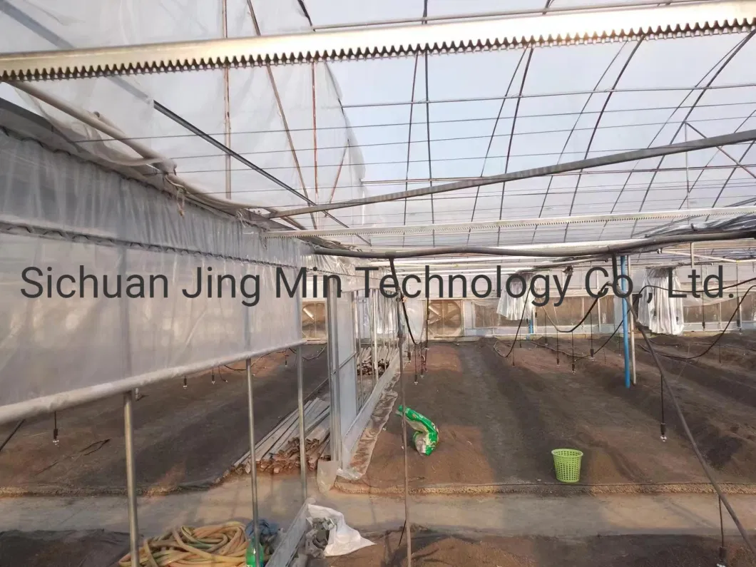 Agricultural Multi Span PE Film Vegetable Greenhouse with Cooling System