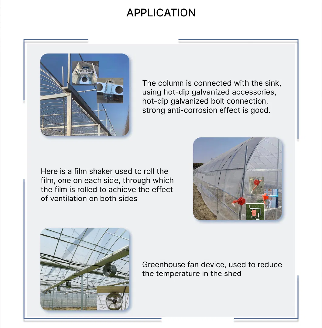 Customized Glass Greenhouse with Irrigation and Heating System for Agriculture