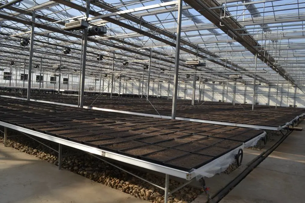 Multi-Span Polycarbonate (PC) Sheet Greenhouse with Hot Galvanized Steel Framework