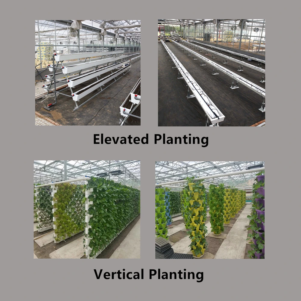 PE Film Tunnel Greenhouse for Vegetables Flowers Seed Nursery