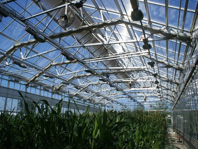 Skyplant Agricultural Greenhouse Export Single Span Tunnel Dome Film Greenhouse