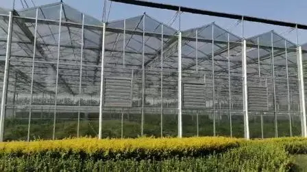 Superb Stabality M Profile Greenhouse Skeleton/Framework for High Quality EU Type Greenhouse