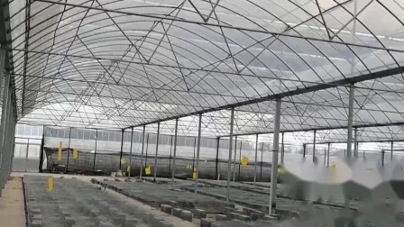 Outside and Inside Shading System of Greenhouse