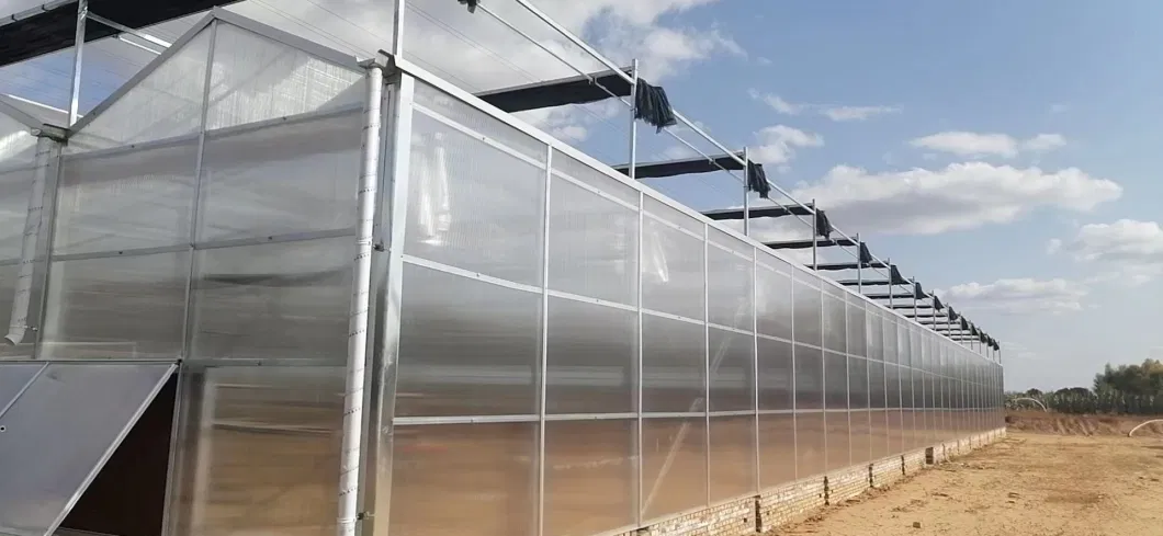 Modern Agriculture Plastic Greenhouse with Cooling System