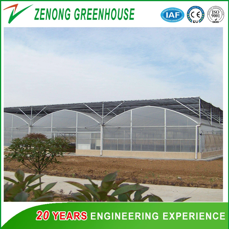 Gutter Connected Po Film Greenhouse with Evaporative Cooling Pad for Rose/Tulip/Tomato/Pea
