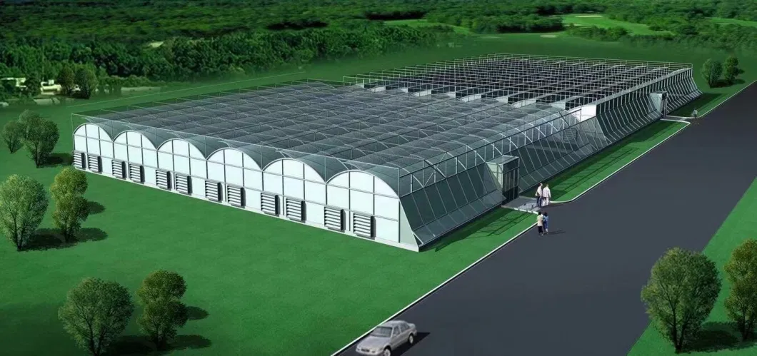 Modern Agriculture Plastic Greenhouse with Cooling System