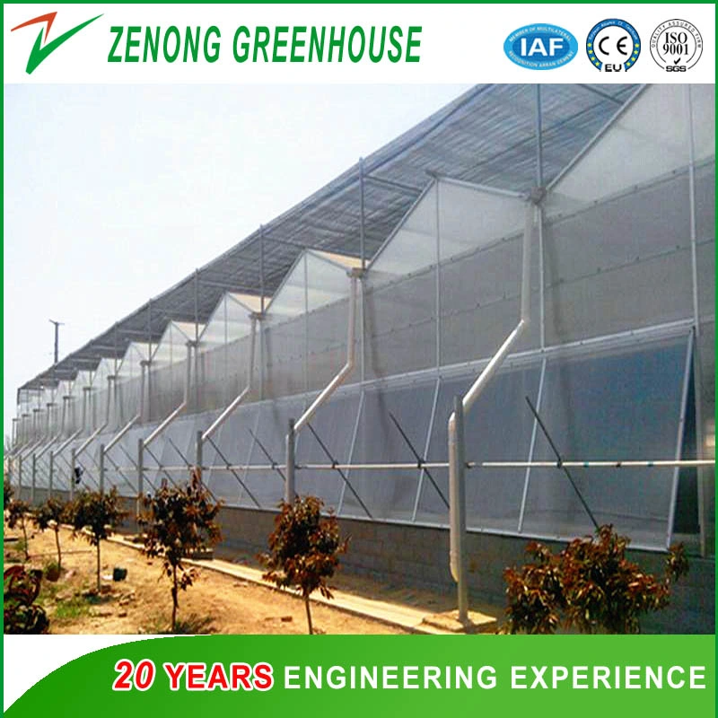 PC Sheet Cover Material and Commercial Vegetables Seeds Vertical Farming Greenhouse