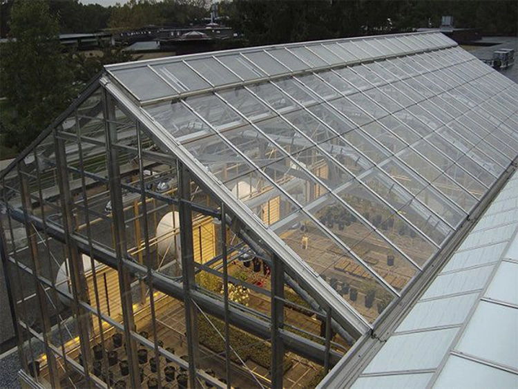 Skyplant Agricultural Greenhouse Export Single Span Tunnel Dome Film Greenhouse