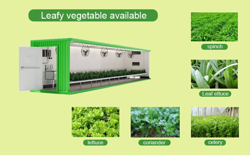 9600*650*2350mm Easy Control Heating and Cooling System Greenhouses Farm Container