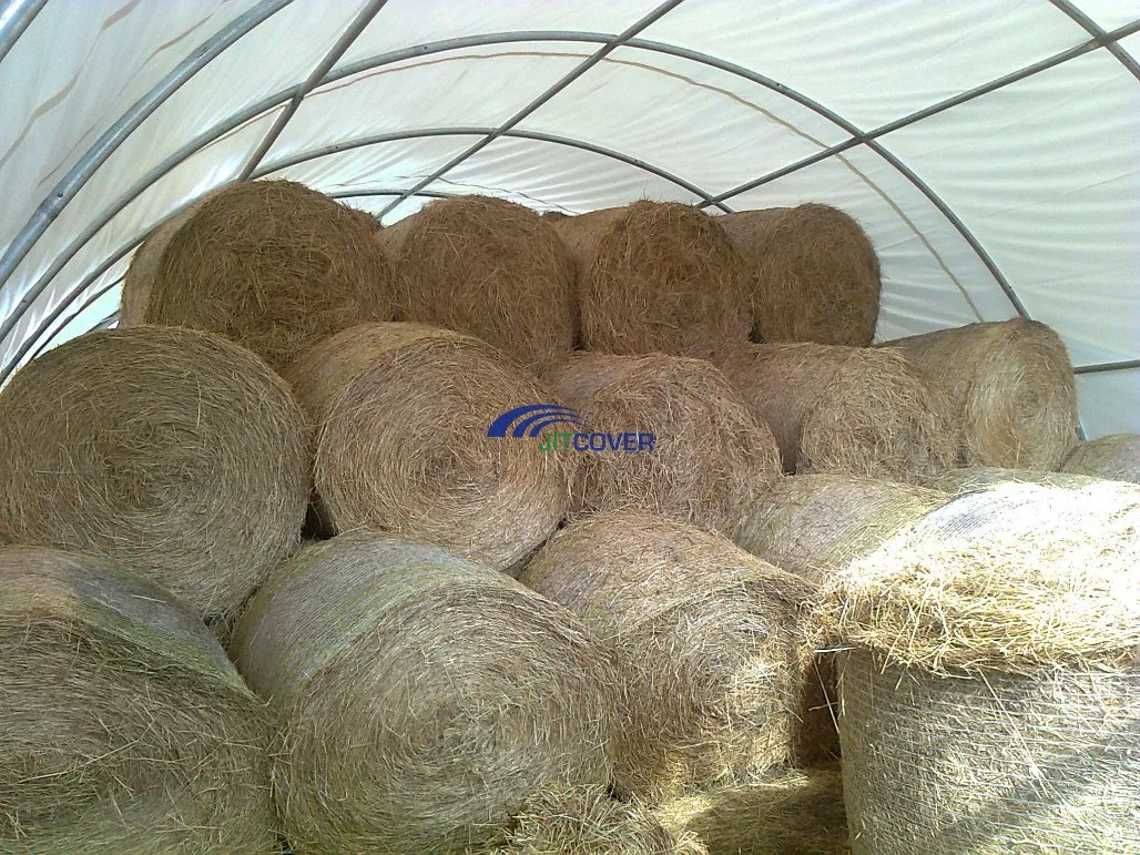 Dome Agriculture Greenhouse/ Greenhoue / Waterproof Greenhouse/ Multipurpose Greenhouse / (JIT-306515)