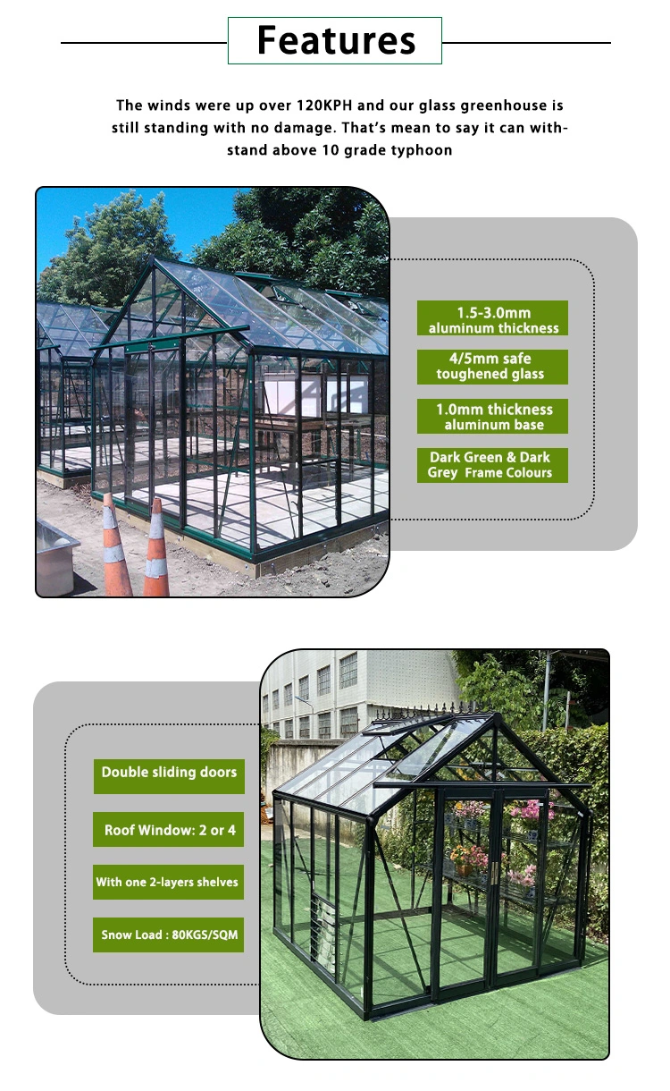 Outdoor Metal Aluminum Frame Green House Backyard Mini Glasshouse Victorian Commercial Glass Garden Greenhouse Used for Sale