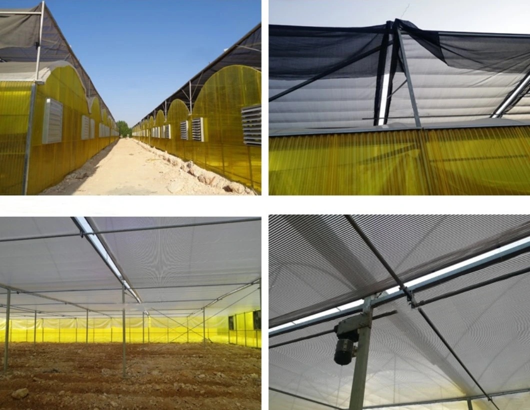 Cheap Roof Ventilation Dome Greenhouse Covered by Plastic Film with Auto Control System