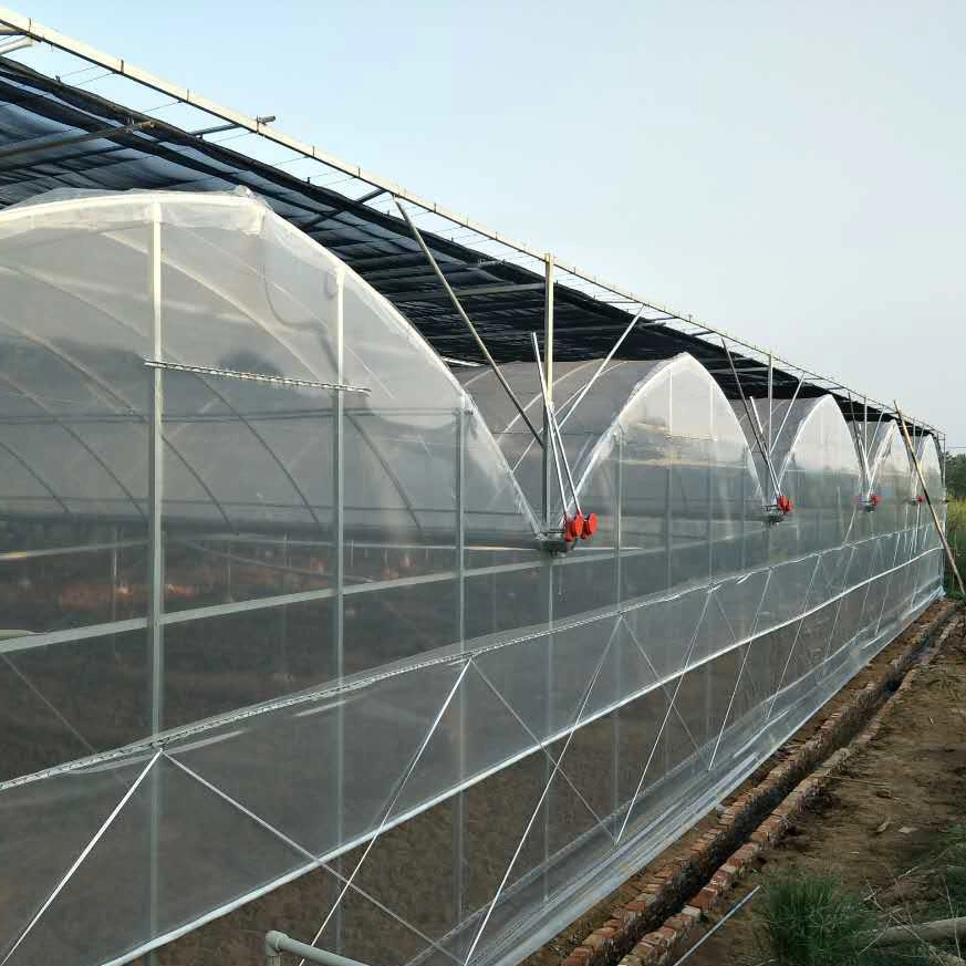 Single-Span Po Film Greenhouse with Cooling System