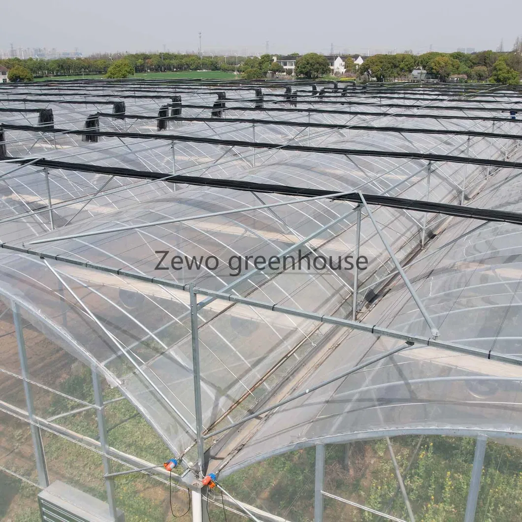 China Made Multi-Span Hydroponics Plastic Film /Glass Agricultural Greenhouse with Polycarbonate Sheet for Commercial Farm