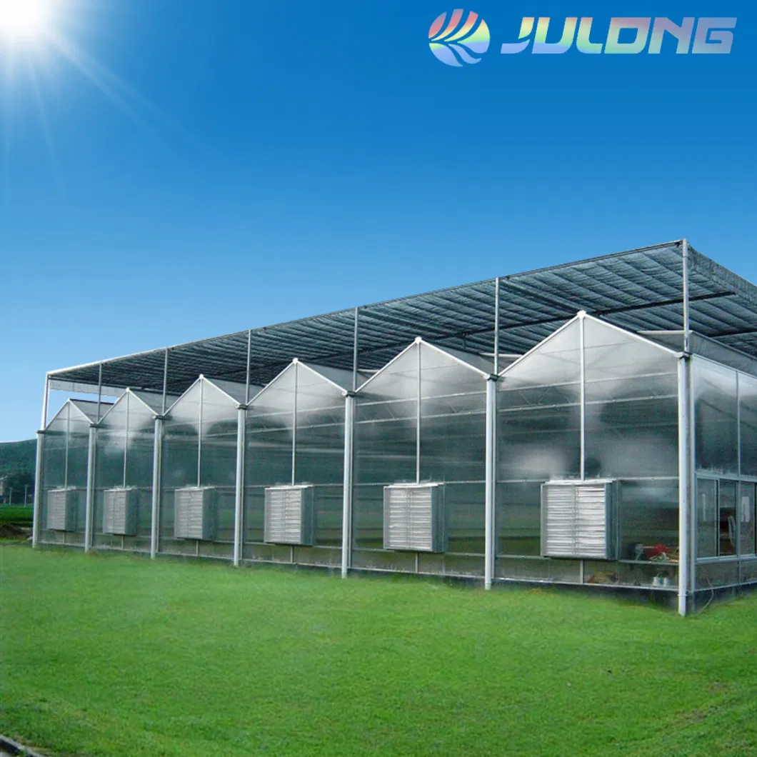 Galvanized Steel Pipe Venlo PC Sheet Greenhouse for Garden Products