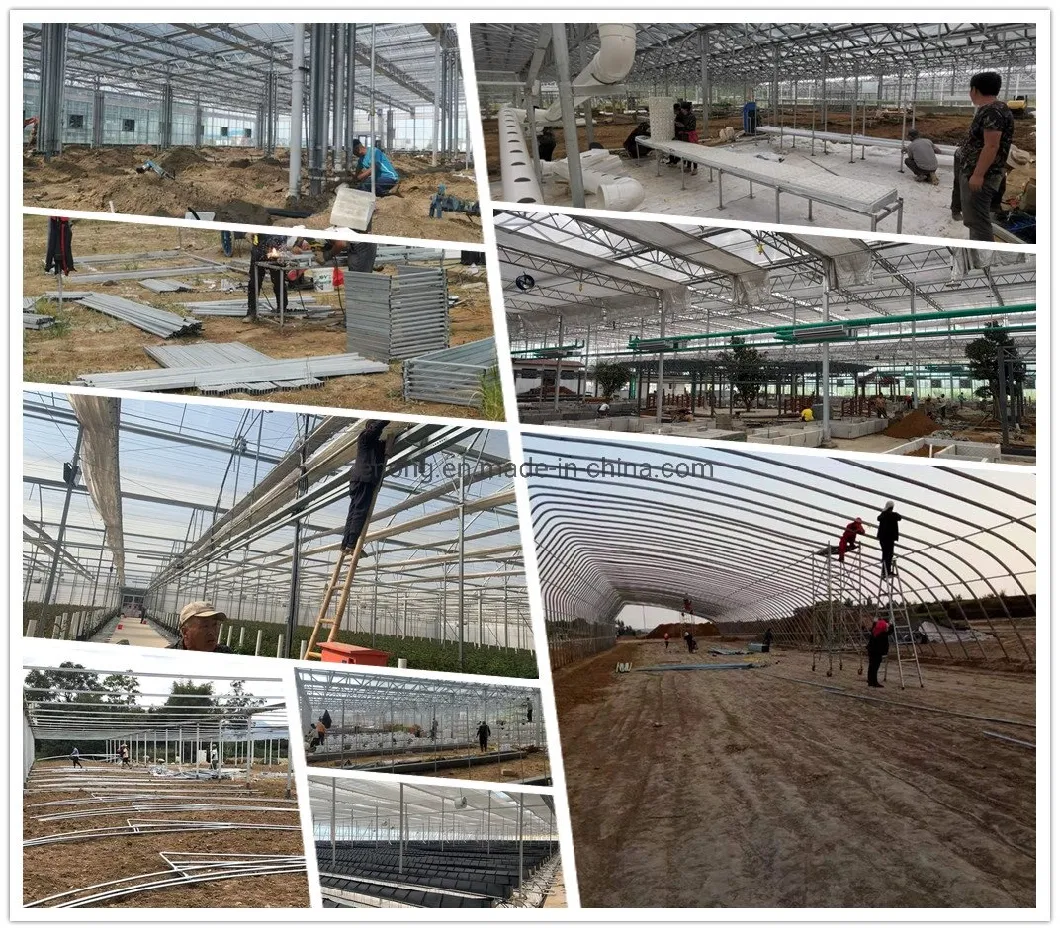 China Solar Film Greenhouse with Heating Storage and Releasing System for Vegetables Flowers