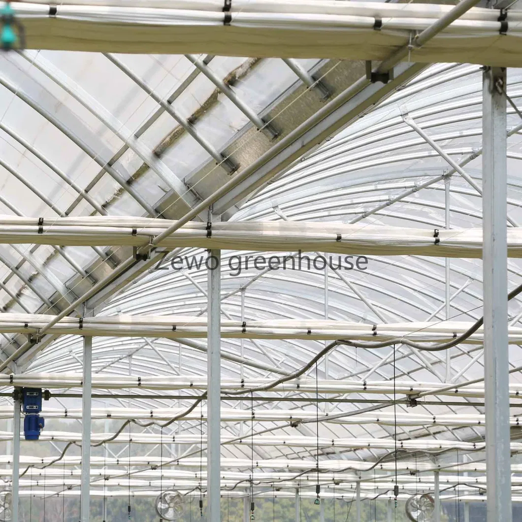 Frame Steel Galvanized Multi-Span/Plastic Film Greenhouse with Hydroponics Irrigation System for Strawberry/Flowers/Vegetables