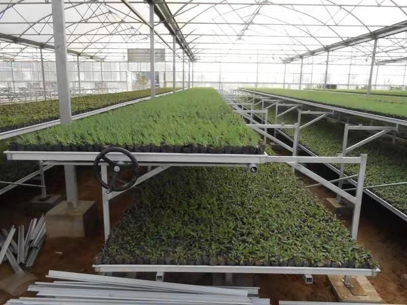 Grape Greenhouse Pipe Fittings Viridiplantae Greenhouse Framework National Strong Greenhouse Steel Pipe Corrosion Resistance and Easy Installation