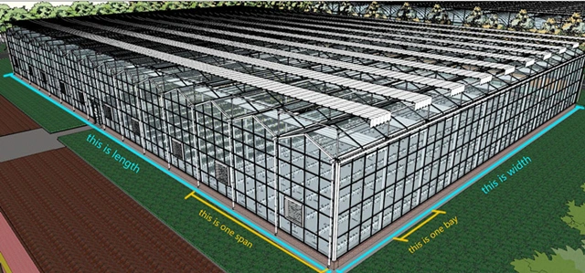 Aluminum Plastic Roofing PC Sheet Greenhouse