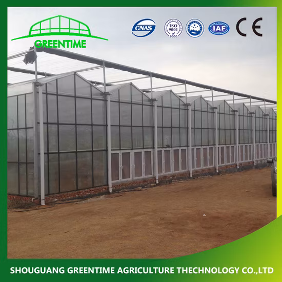Superb Stabality M Profile Greenhouse Skeleton/Framework for High Quality EU Type Greenhouse