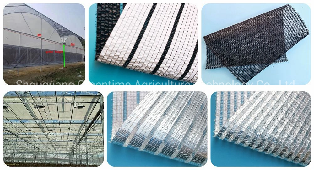 Hot-DIP Galvanized Steel PC Sheet Greenhouse with Hydroponic System