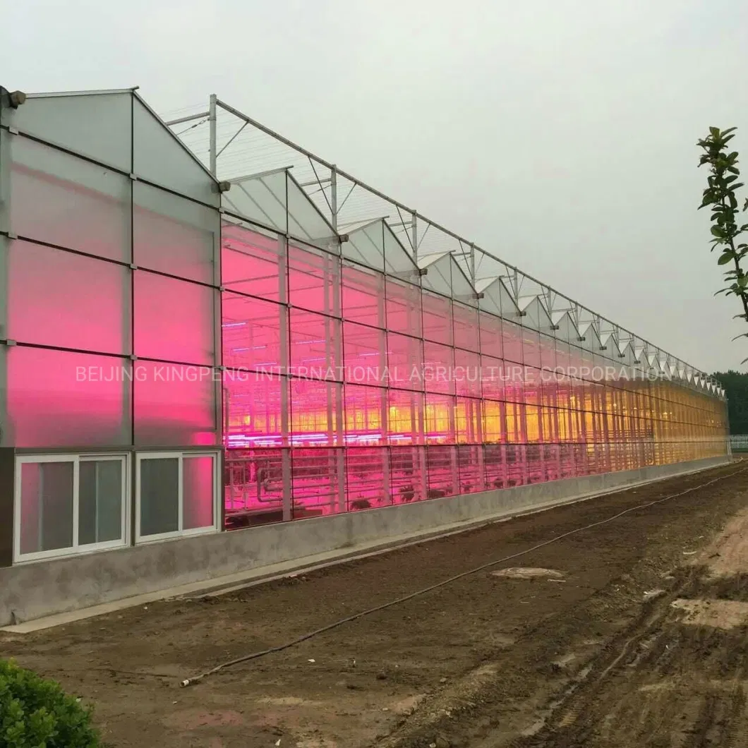 Semi-Closed Glass Greenhouse for Agricultural Farming