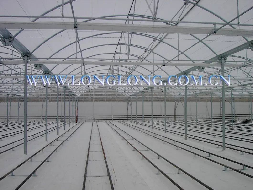Superb Stabality M Profile Greenhouse Steel Structure/Skeleton/Framework for High Quality EU Type Greenhouse
