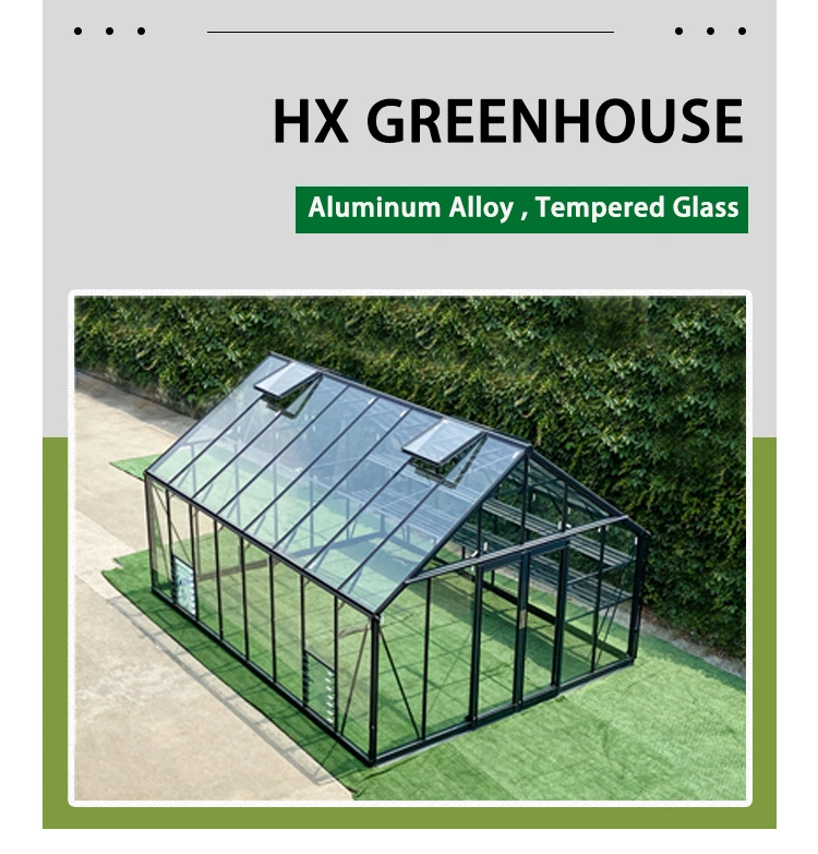 Dome Glass 4m Width Greenhouse for Growing