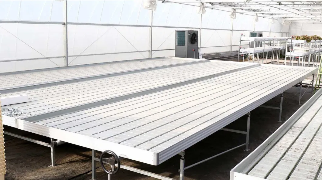 Movable Nursery Growing Talbes Rolling Benches for Greenhouse