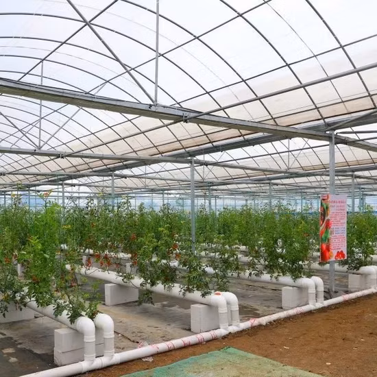 Hot Dipped Galvanized Agriculture PC Sheet Greenhouse with Hydroponics System