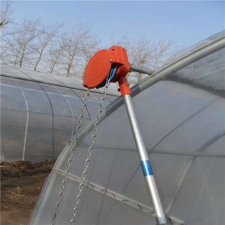 Professional Agricultural Single Span Tunnel Dome Film Greenhouse for Vegetable/Flower