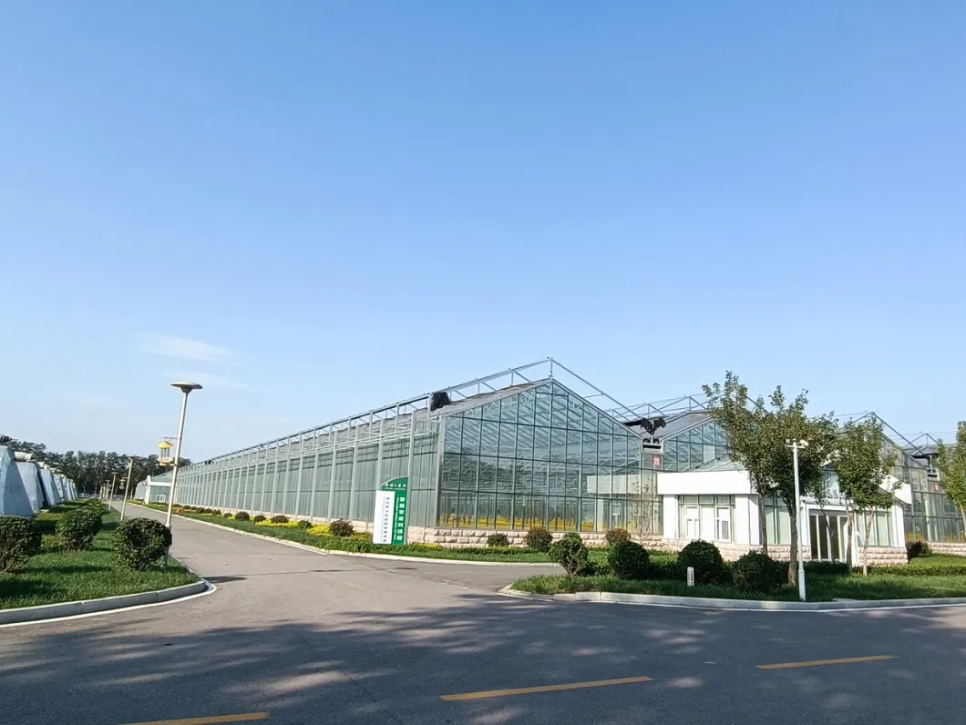 Modern Agriculture Multispan-Glass Greenhouse Flower Green House Hydroponics System