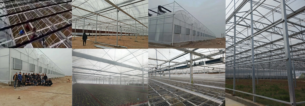 Single-Span Po Film Greenhouse with Cooling System