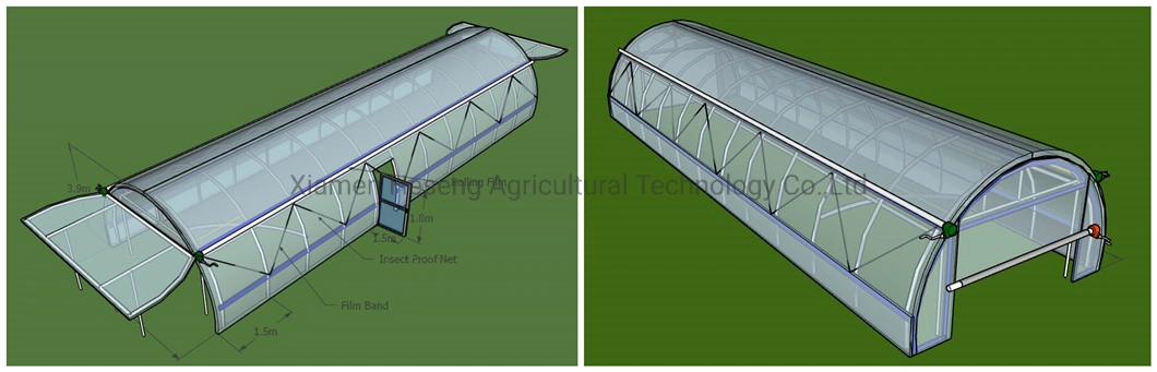 Tunnel Shape Arch Dome Hoop Greenhouse for Farm Planting