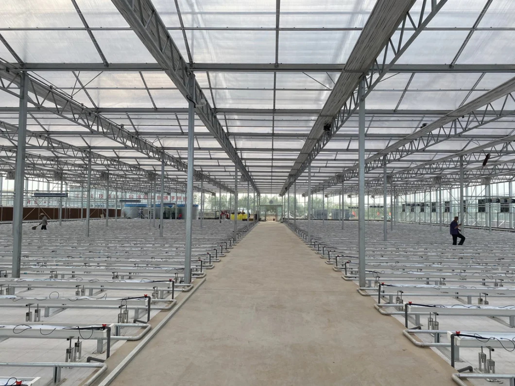Venlo Hollow Double Tempered Glass Greenhouse with Hydroponics Growing System for Vegetables/ Flowers/ Tomato/ Farm/ Garden/ Eco Restaurant / Agriculture