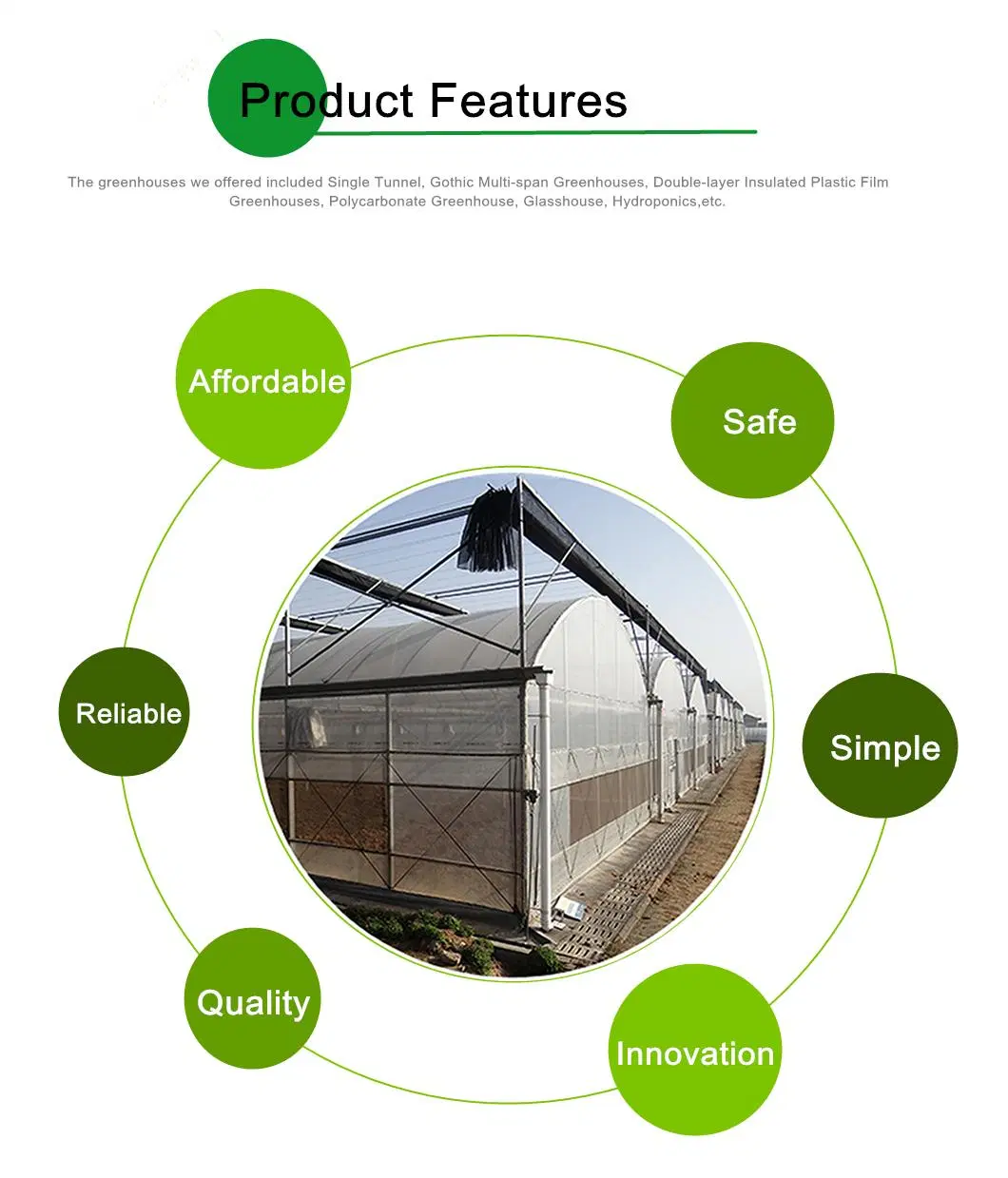 Cheap Roof Ventilation Dome Greenhouse Covered by Plastic Film with Auto Control System