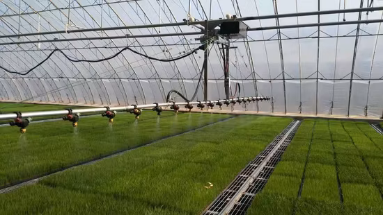 Hot Dipped Galvanized Agriculture PC Sheet Greenhouse with Hydroponics System