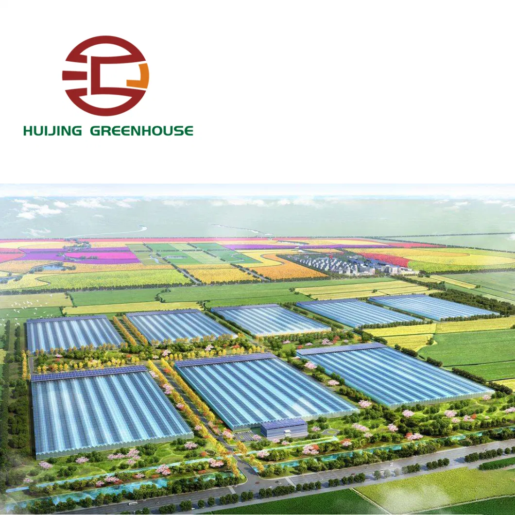 Hot Sale Multi Span Plastic Film Greenhouse for Planting