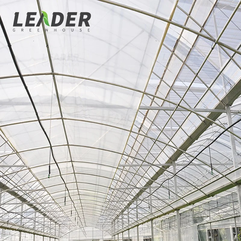 Agricultural Multi-Span Plastic Tunnel Film Greenhouse