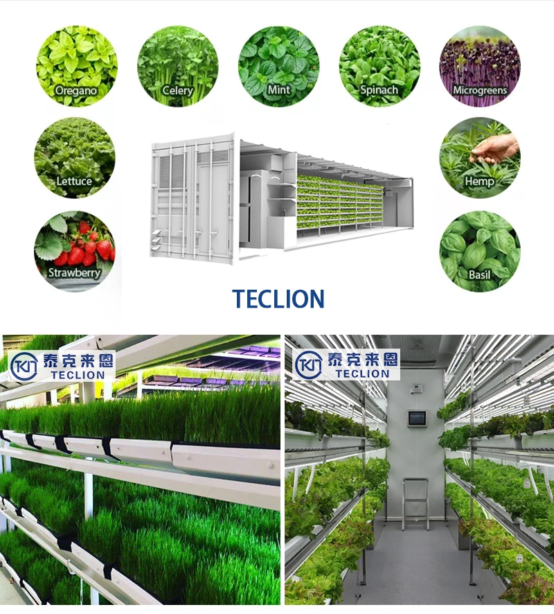 9600*650*2350mm Easy Control Heating and Cooling System Greenhouses Farm Container