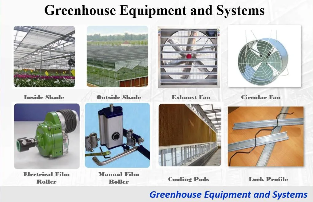 Agricultural Hydroponic Multi-Span Intelligent Nursery Flower Glass Greenhouse