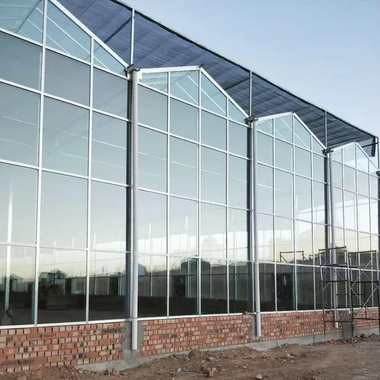 Hot Dipped Galvanized Agriculture PC Sheet Greenhouse with Hydroponics System