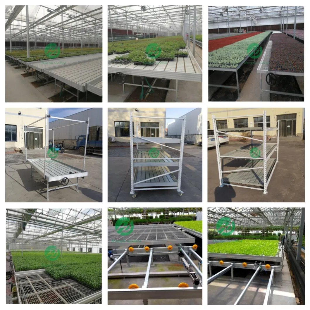Movable Rolling Bench Galvanized Welded Wire Mesh Steel Seedbed Greenhouse Nursery Bed