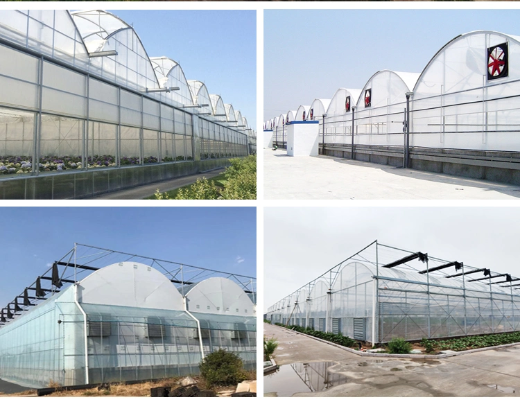Seeding Nursery Tunnel Greenhouse Farming Hydroponics Greenhouses for Sale