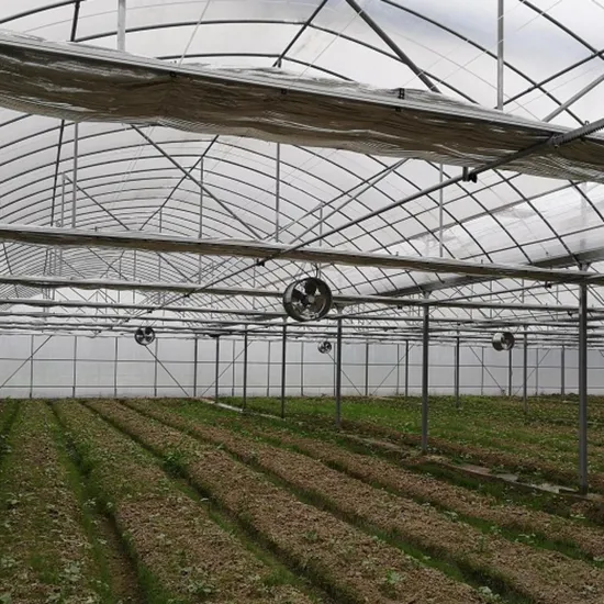 Rail bench tomato plants Nursery film Greenhouse for hydroponic