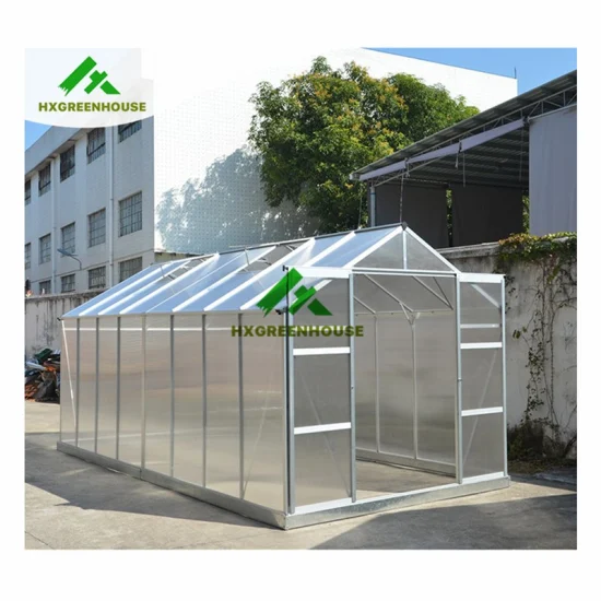 China Cheap Prefab Winter PC Sheet Green House Hobby Luxury Small Polycarbonate Plastic Greenhouse Garden for Sale