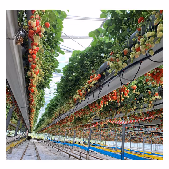 Agricultural Multi