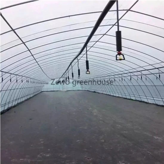 2023 Low Cost Cultivation in Greenhouse Single Span Dome Plastic Film Greenhouse