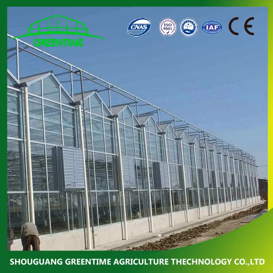 Superb Stabality M Profile Greenhouse Skeleton/Framework for High Quality EU Type Greenhouse