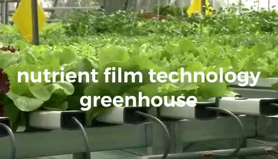 Modern Agriculture Multi